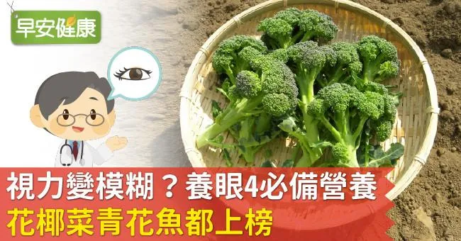 視力變模糊？養眼4必備營養，花椰菜青花魚都上榜