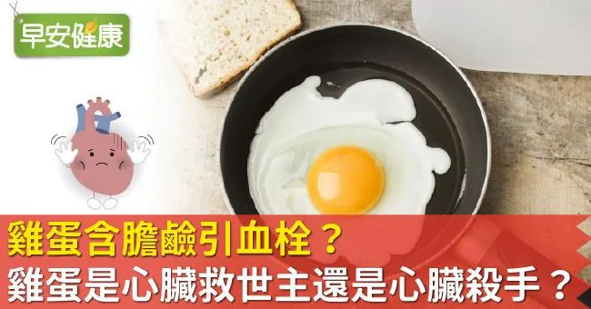 雞蛋含膽鹼引血栓？雞蛋是心臟救世主還是心臟殺手？