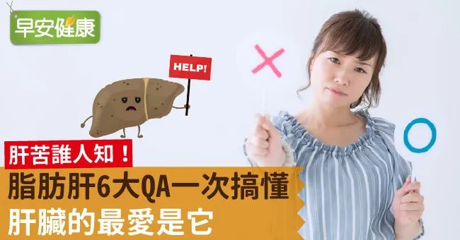 肝苦誰人知！脂肪肝6大QA一次搞懂：肝臟的最愛是它