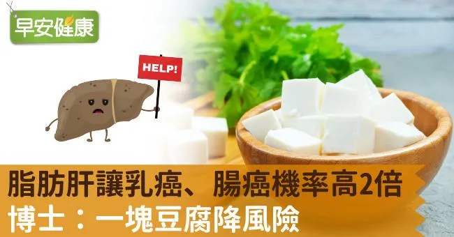 脂肪肝讓乳癌、腸癌機率高2倍！博士：一塊豆腐降風險