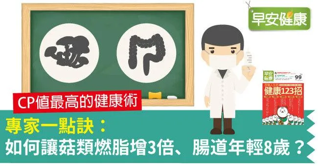 專家一點訣：如何讓菇類燃脂增3倍、腸道年輕8歲？