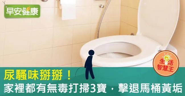 尿騷味掰掰！家裡都有無毒打掃3寶，擊退馬桶黃垢