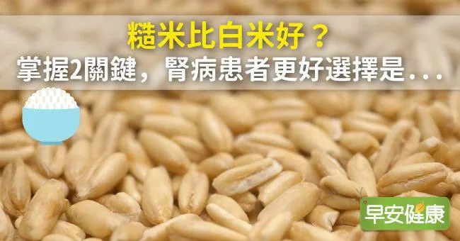 糙米比白米好？掌握2關鍵，腎病患者更好選擇是...