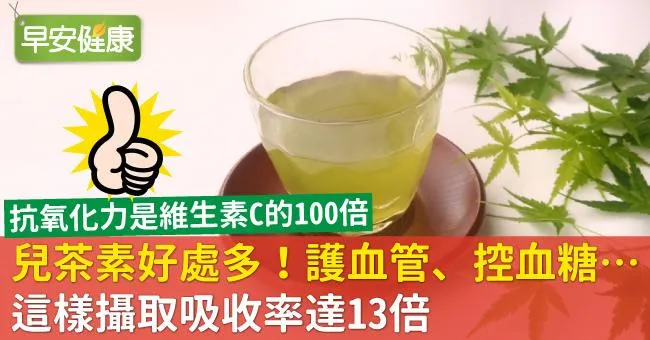 兒茶素好處多！護血管、控血糖…這樣攝取吸收率達13倍