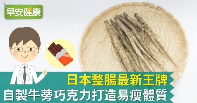 日本整腸最新王牌，自製牛蒡巧克力打造易瘦體質