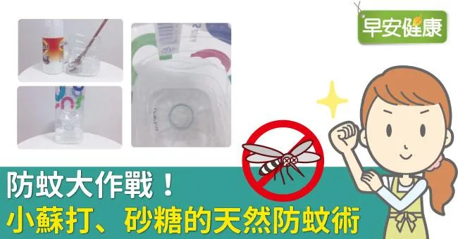 防蚊大作戰！小蘇打、砂糖的天然防蚊術