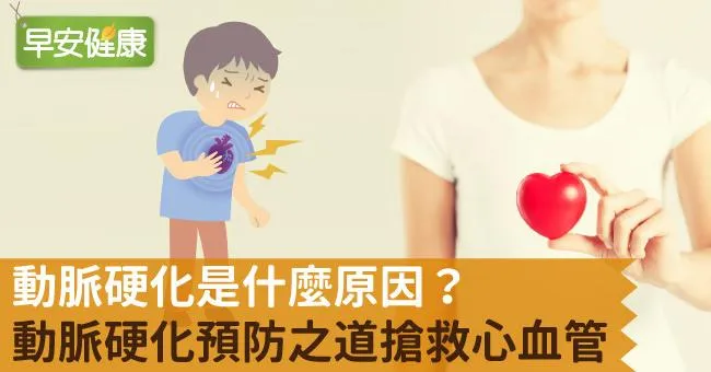 動脈硬化是什麼原因？動脈硬化預防之道搶救心血管