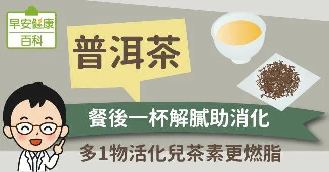普洱茶：餐後一杯解膩助消化！多1物活化兒茶素更燃脂