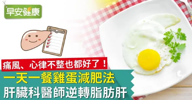 一天一餐雞蛋減肥法，肝臟科醫師逆轉脂肪肝