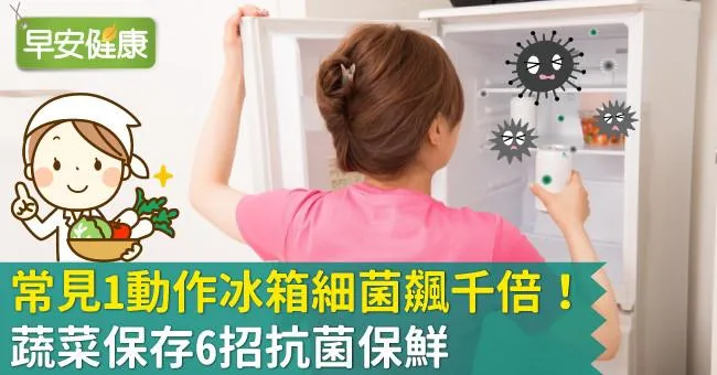 蔬菜保鮮方法6招！避免冰箱變成細菌溫床