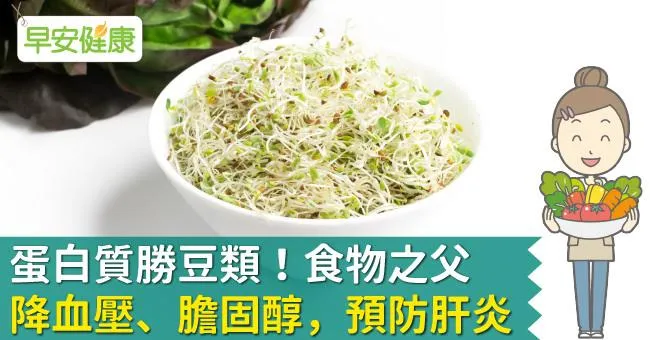 蛋白質勝豆類！食物之父降血壓、膽固醇，預防肝炎