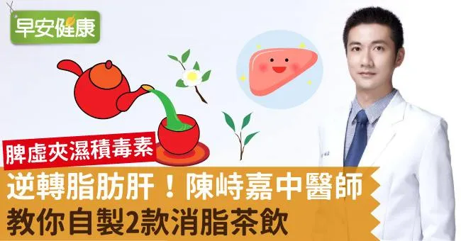 逆轉脂肪肝！陳峙嘉中醫師教你自製2款消脂茶飲