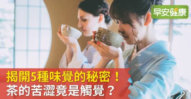 揭開5種味覺的秘密！茶的苦澀竟是觸覺？