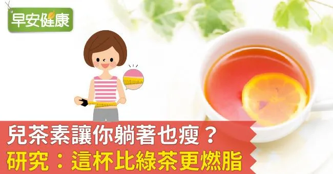 兒茶素讓你躺著也瘦？研究：這杯比綠茶更燃脂