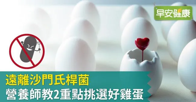 遠離沙門氏桿菌，營養師教2重點挑選好雞蛋