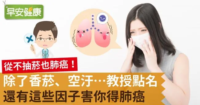 除了香菸、空汙…教授點名：還有這些因子害你得肺癌