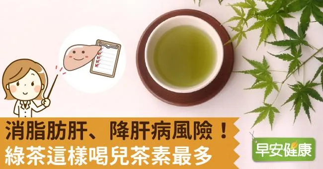 消脂肪肝、降肝病風險！綠茶這樣喝兒茶素最多