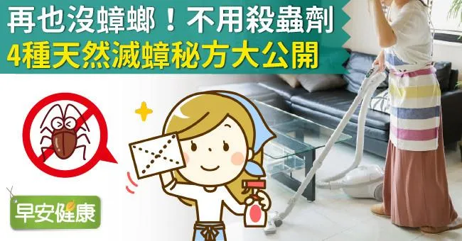 再也沒蟑螂！不用殺蟲劑，4種天然滅蟑秘方大公開