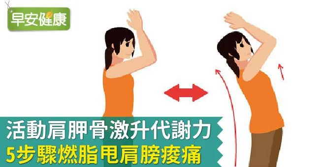 活動肩胛骨激升代謝力，5步驟燃脂甩肩膀痠痛