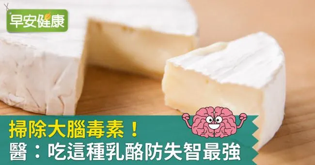 掃除大腦毒素！醫：吃這種乳酪防失智最強