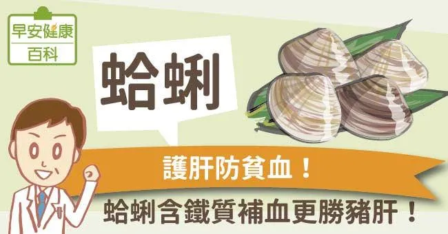 蛤蜊：護肝防貧血！蛤蜊含鐵質補血更勝豬肝！
