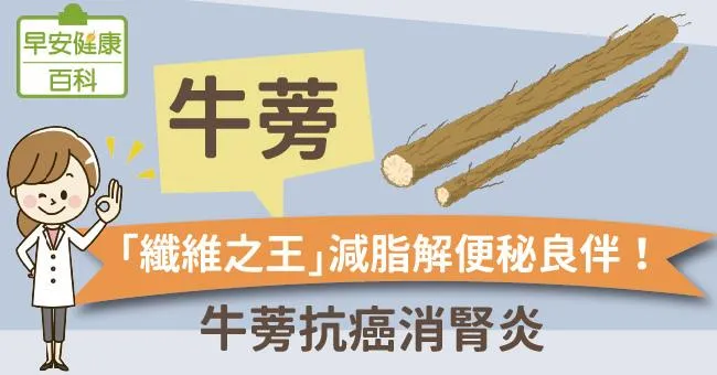牛蒡：「纖維之王」減脂解便秘良伴！牛蒡抗癌消腎炎