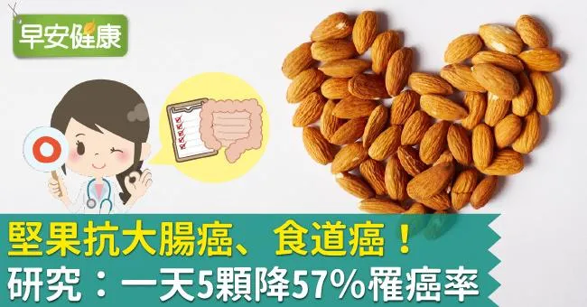 堅果抗大腸癌、食道癌！研究：一天5顆降57％罹癌率