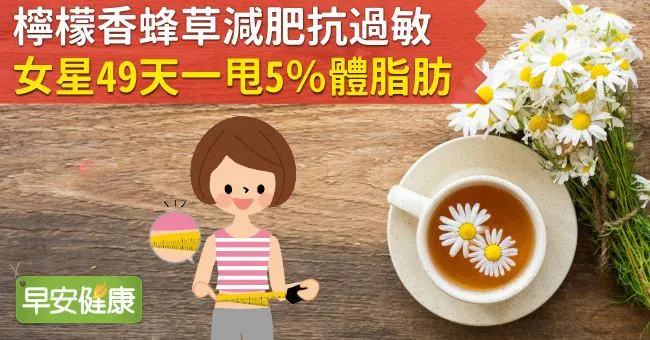 檸檬香蜂草減肥抗過敏！女星49天一甩5％體脂肪