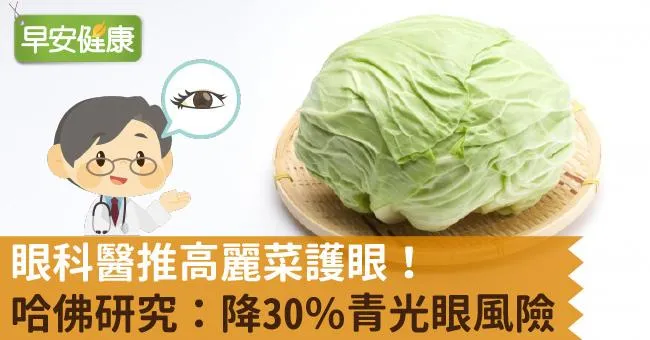 眼科醫推高麗菜護眼！哈佛研究：降30％青光眼風險