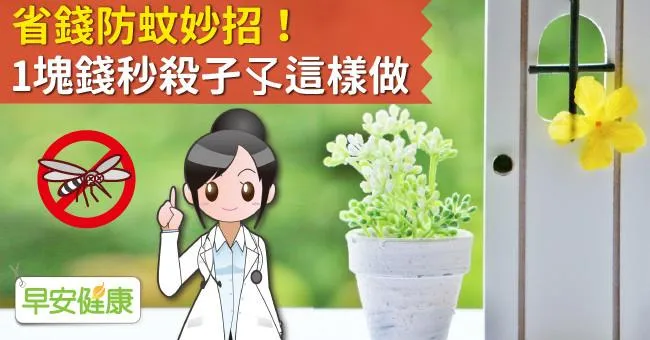 省錢防蚊妙招！1塊錢秒殺孑孓這樣做