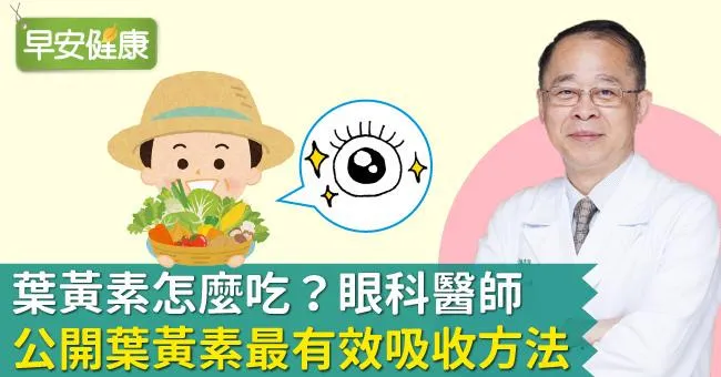 葉黃素怎麼吃？眼科醫師公開葉黃素最有效吸收方法