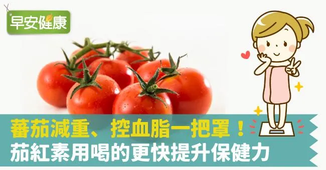 蕃茄減重、控血脂一把罩！茄紅素用喝的更快提升保健力
