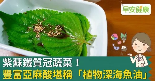 紫蘇鐵質冠蔬菜！豐富亞麻酸堪稱「植物深海魚油」