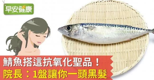 鯖魚搭這抗氧化聖品！院長：1盤讓你一頭黑髮