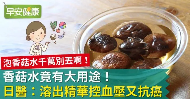 香菇水竟有大用途！日醫：溶出精華控血壓又抗癌