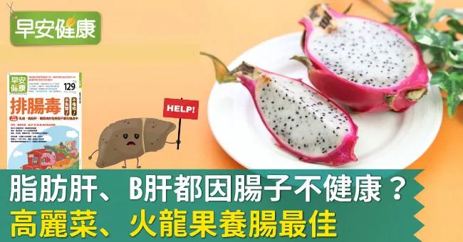 脂肪肝、B肝都因腸子不健康？高麗菜、火龍果養腸最佳
