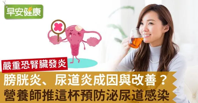 膀胱尿道炎成因、改善方法為何？營養師帶你一篇看懂預防感染發炎方法