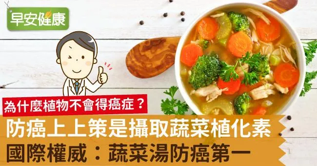 防癌上上策是攝取蔬菜植化素！國際權威：蔬菜湯防癌第一