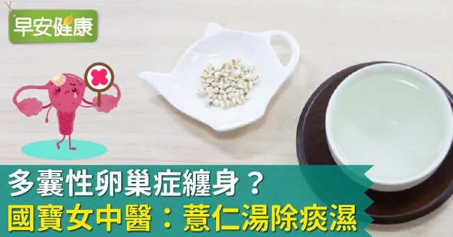 多囊性卵巢症纏身？國寶女中醫：薏仁湯除痰濕