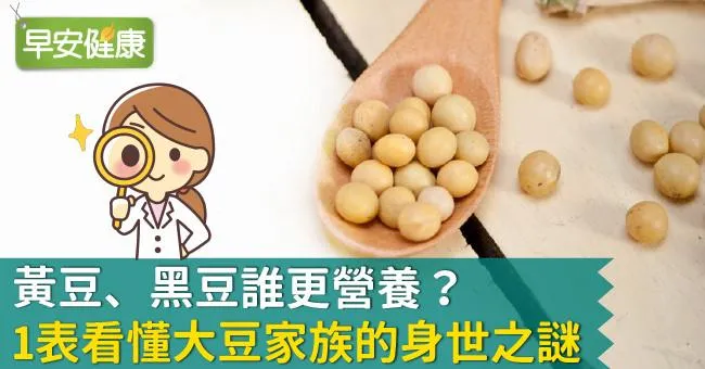 黃豆、黑豆誰更營養？1表看懂大豆家族的身世之謎