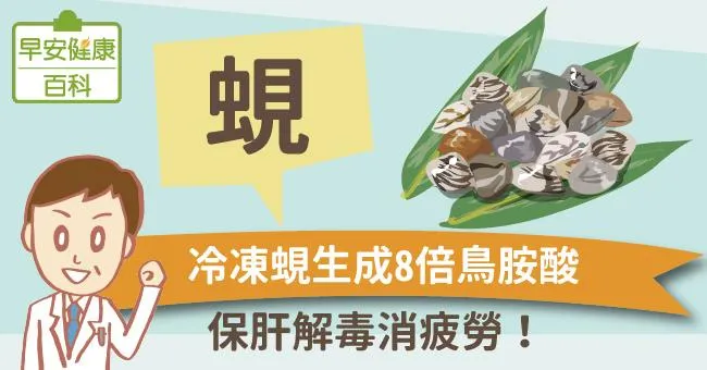 蜆：保肝解毒消疲勞！冷凍蜆生成8倍鳥胺酸