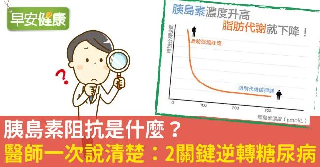 胰島素阻抗是什麼？醫師一次說清楚：2關鍵逆轉糖尿病