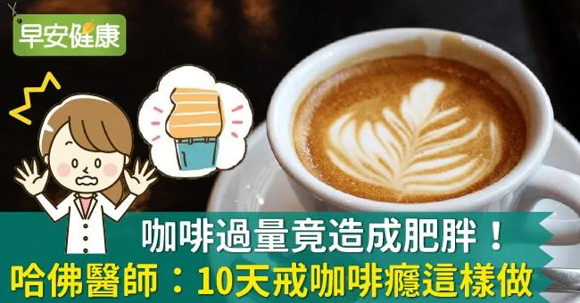 咖啡過量竟造成肥胖！哈佛醫師：10天戒咖啡癮這樣做