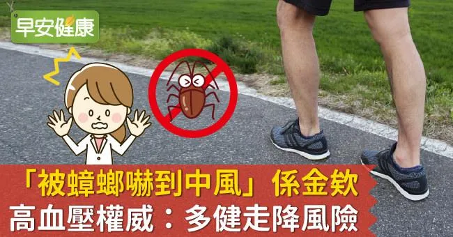 「被蟑螂嚇到中風」係金欸！高血壓權威：多健走降風險