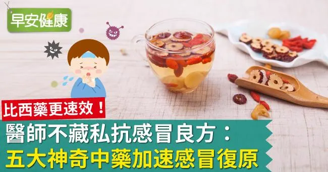 醫師不藏私抗感冒良方：五大神奇中藥加速感冒復原