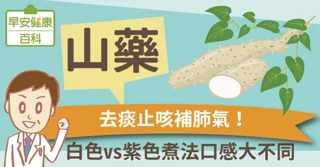 山藥：去痰止咳補肺氣！白色vs紫色煮法口感大不同