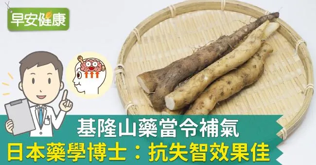基隆山藥當令補氣，日本藥學博士：抗失智效果佳