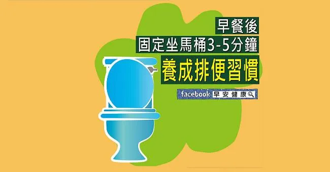 早餐後固定坐馬桶3~5分鐘，養成排便習慣