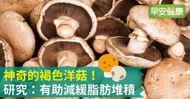 神奇的褐色洋菇！研究：有助減緩脂肪堆積