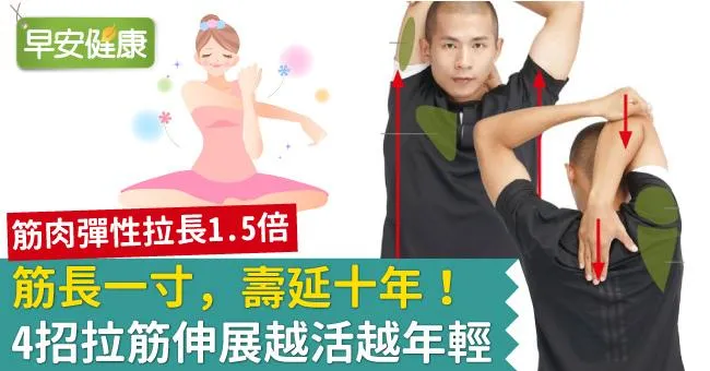 筋肉彈性拉長1.5倍！4招拉筋伸展越活越年輕
